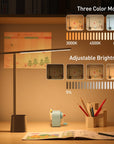 Illora | Ultra-Slim LED Desk Lamp with Touch Control & USB Charging